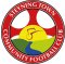 Steyning Town crest