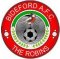 Bideford AFC crest