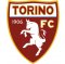 Torino crest
