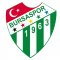 Bursaspor crest
