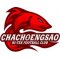 Chachoengsao Hi-Tek FC crest