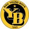 Young Boys crest