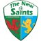 The New Saints crest