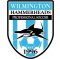 Wilmington Hammerheads crest
