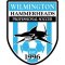 Wilmington Hammerheads crest