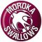 Moroka Swallows crest