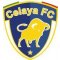 Club Celaya crest